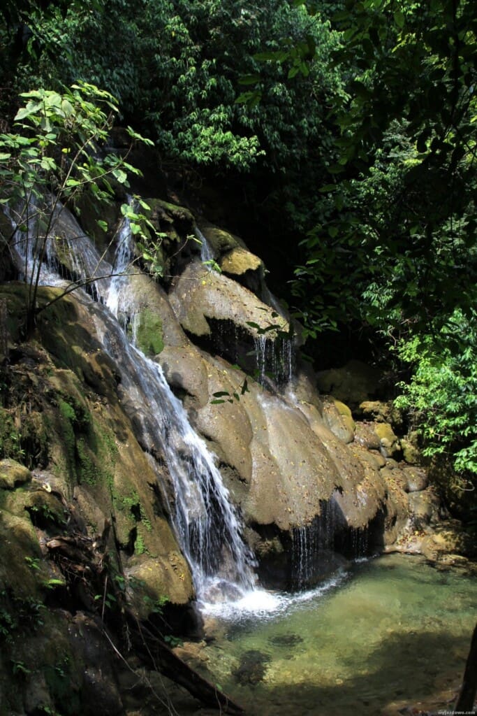 Meksyk - Palenque 6 -