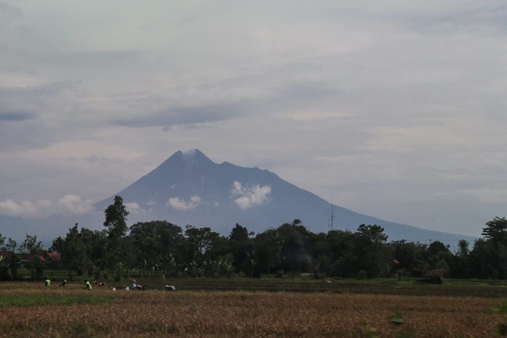 Indonezja -Dzień II Okolice Yogyakarty, Prambanan 16 -