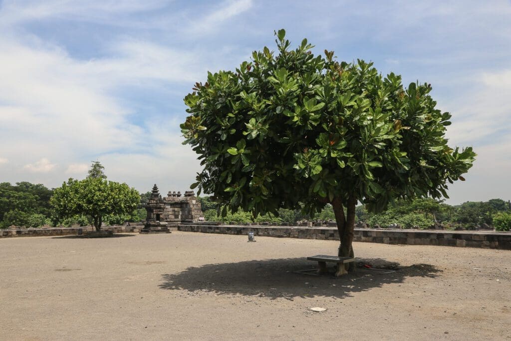 Indonezja -Dzień II Okolice Yogyakarty, Prambanan 38 -