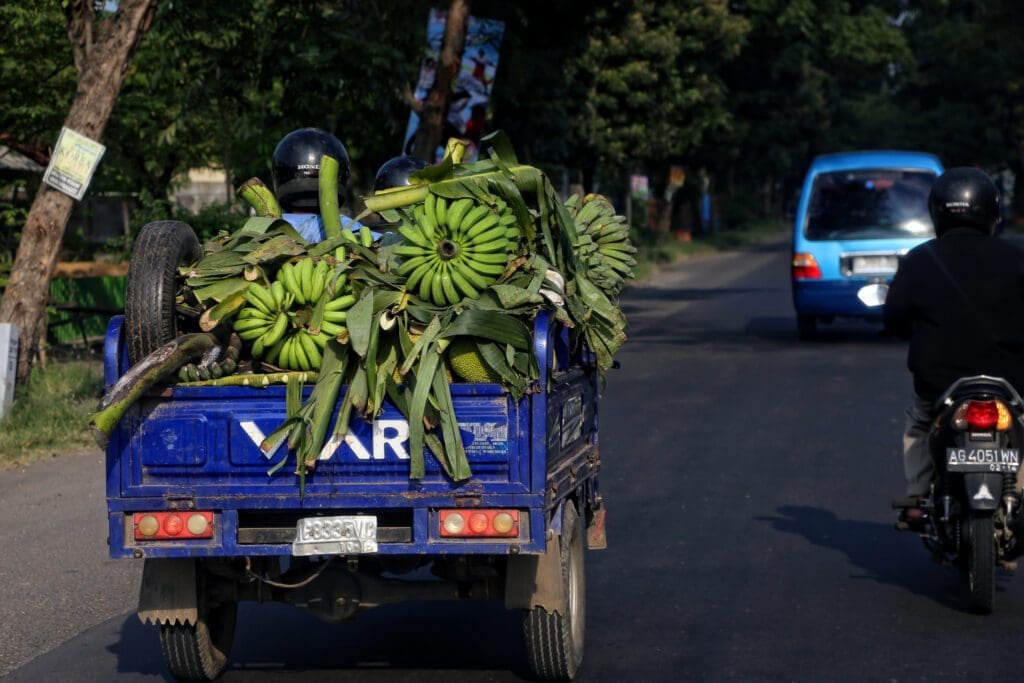 Indonezja - Dzień V Yogyakarta – Bromo 9 -