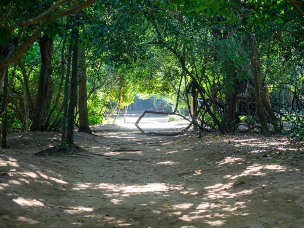 Tajlandia – Park Sam Roi Yot 68 -