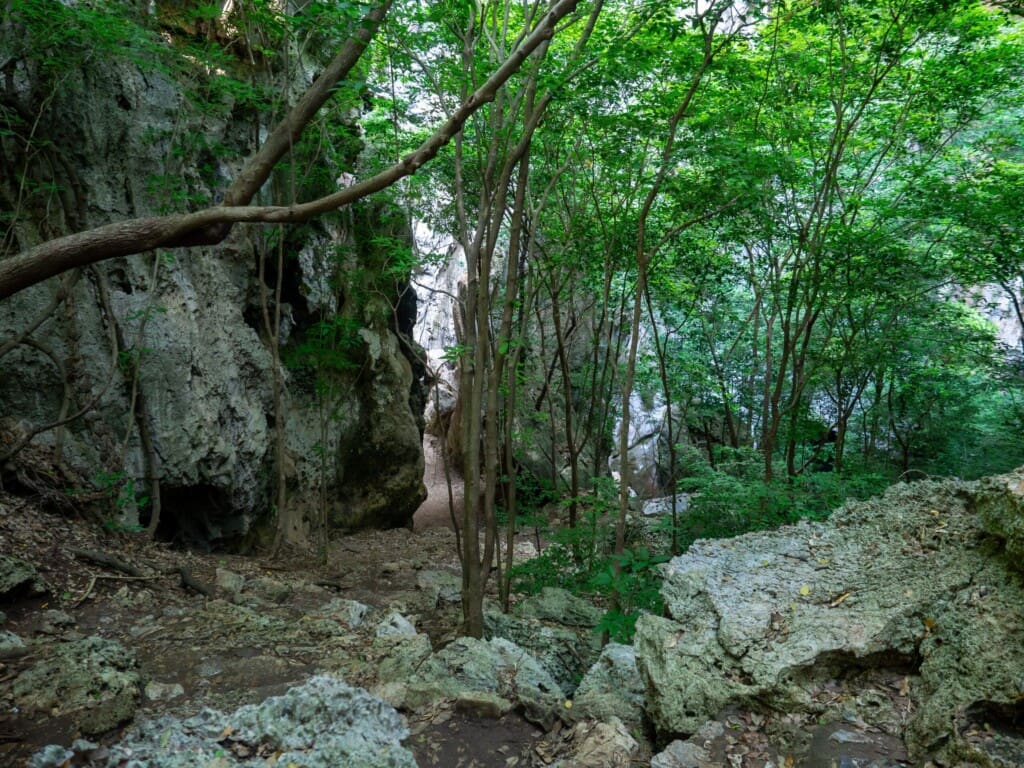 Tajlandia – Park Sam Roi Yot 58 -