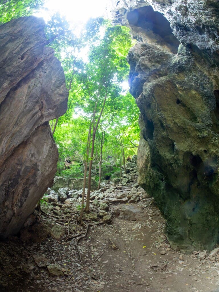 Tajlandia – Park Sam Roi Yot 55 -