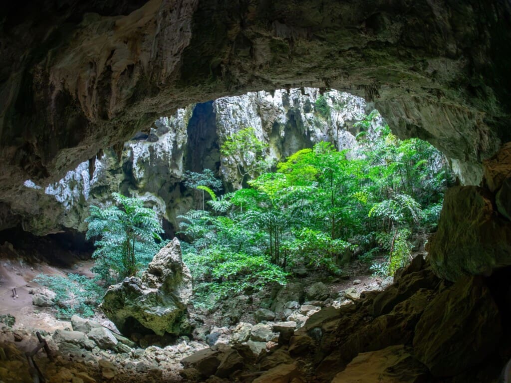 Tajlandia – Park Sam Roi Yot 51 -