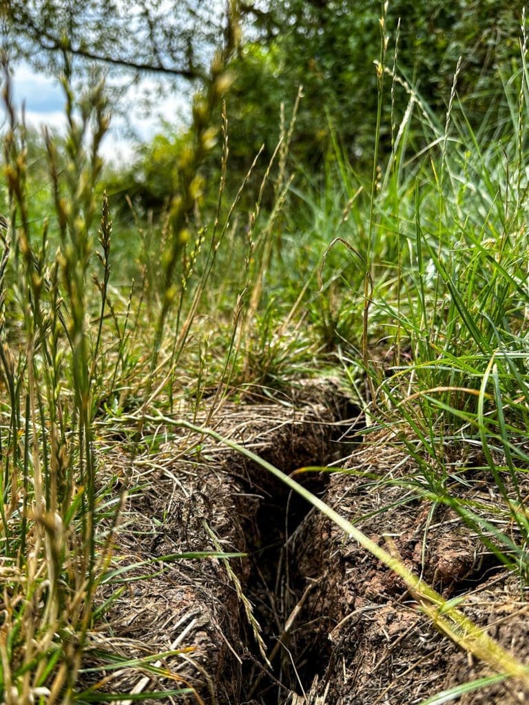 - Kryształy gips kryształ skarb