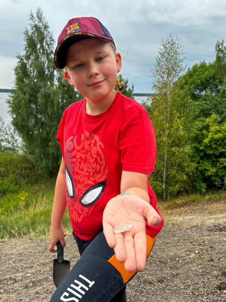 - Kryształy gips kryształ skarb