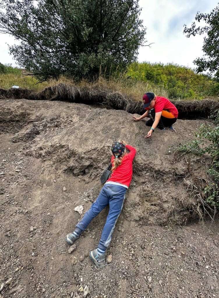 - Kryształy gips kryształ skarb