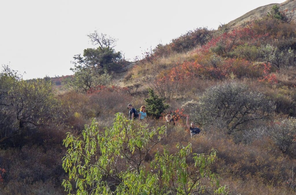 Gruzja – Dawit Gareji