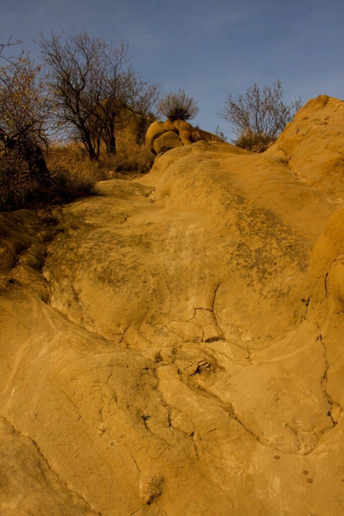 Gruzja – Dawit Gareji