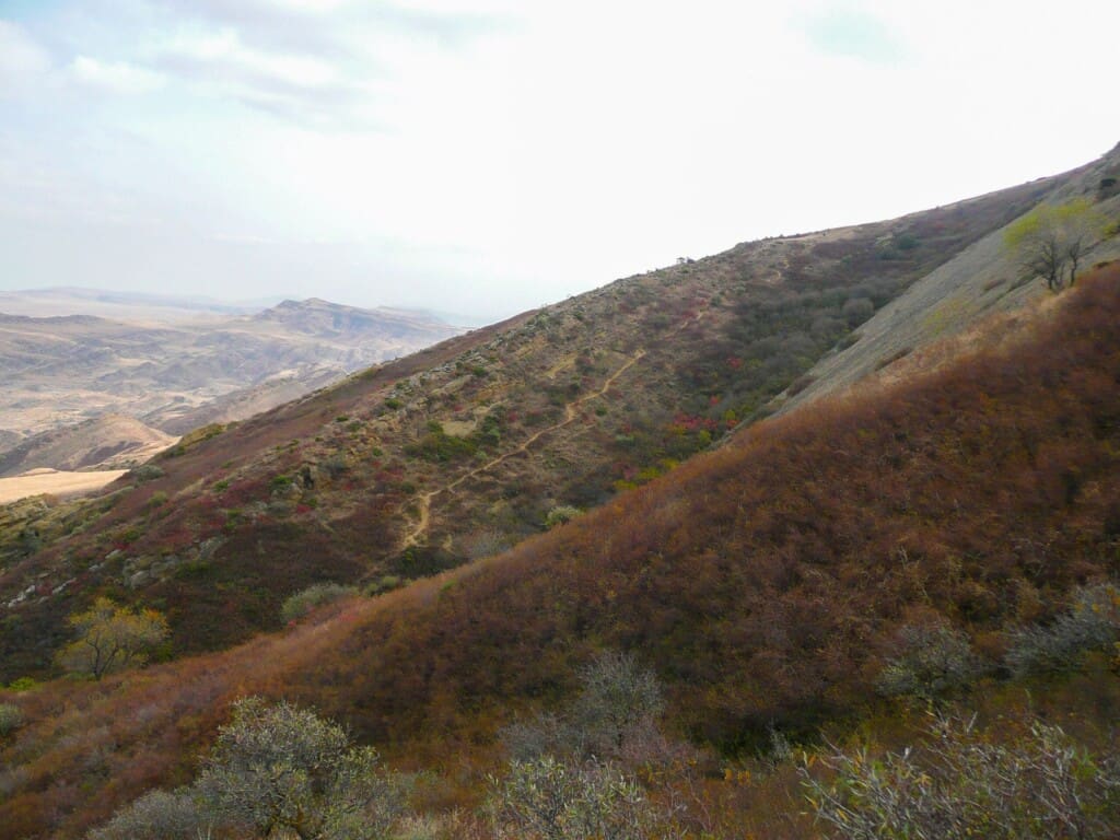 Gruzja – Dawit Gareji