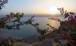 2021 Jordania 10 -