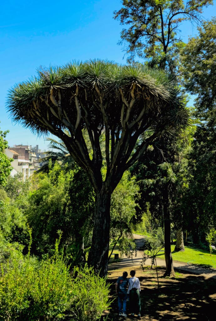 - Castillo Hidalgo