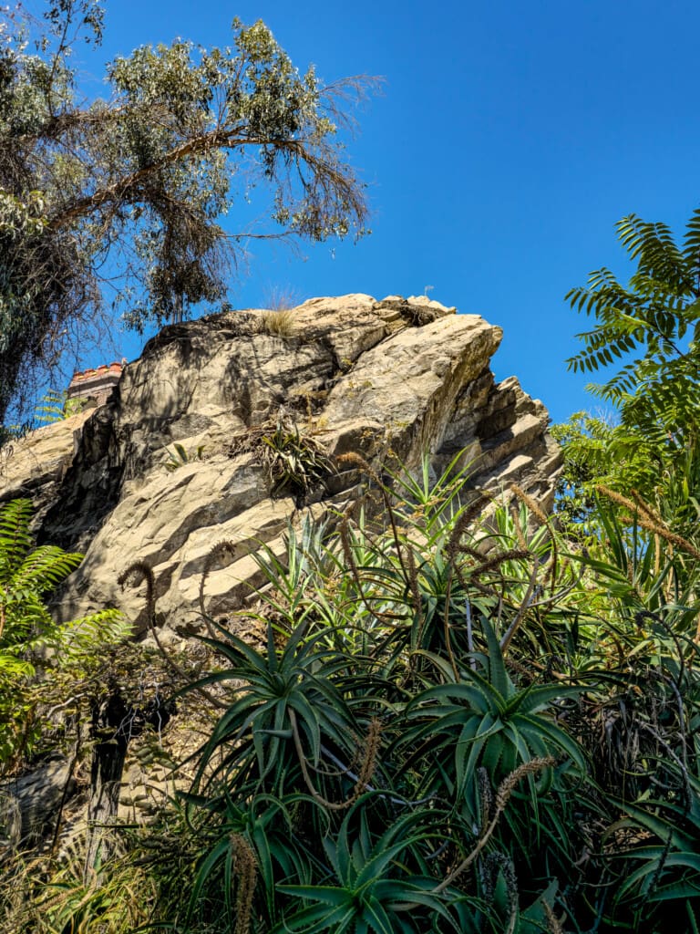 - Castillo Hidalgo