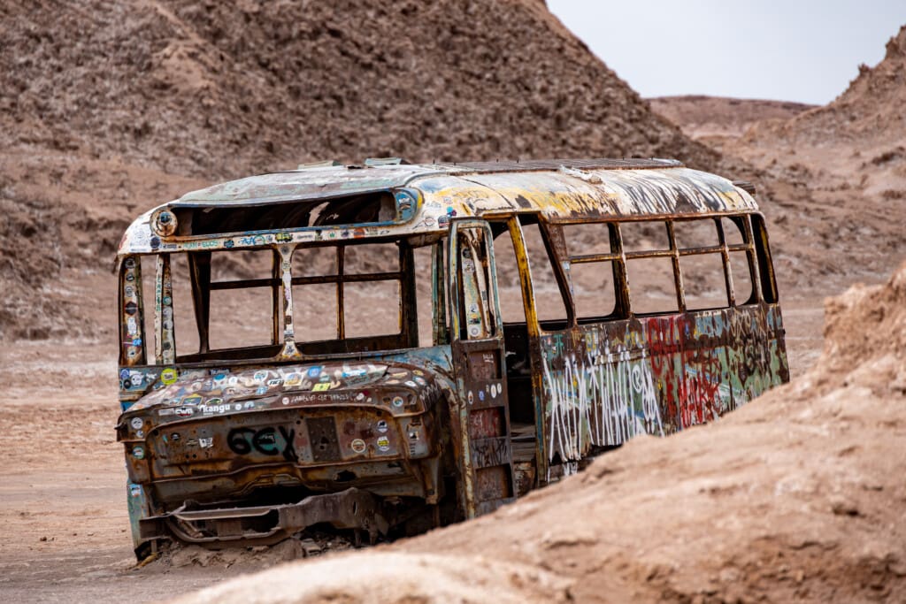 - Magic Bus