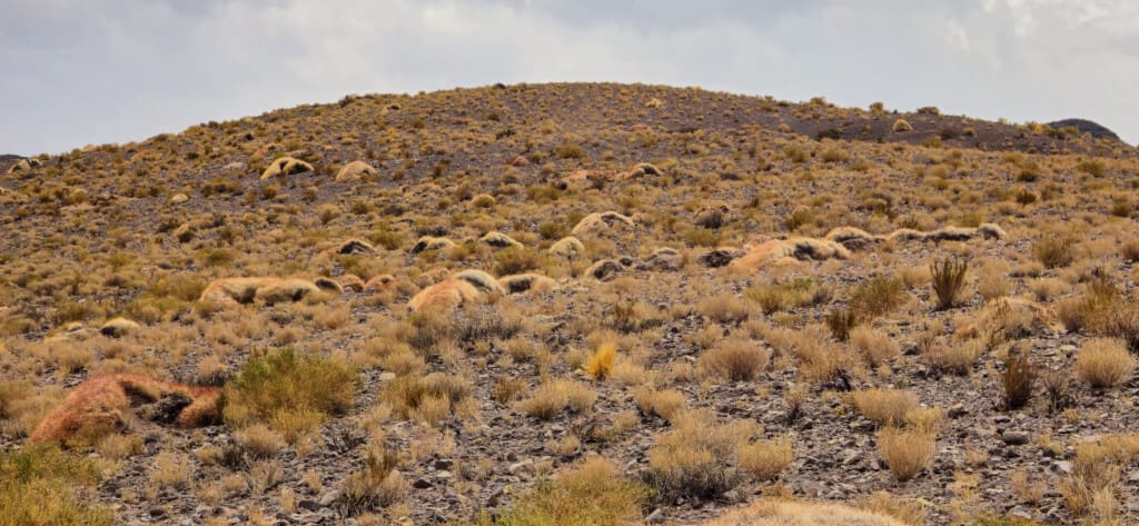 Yerbas Buenas – petroglify na pustyni Atacama