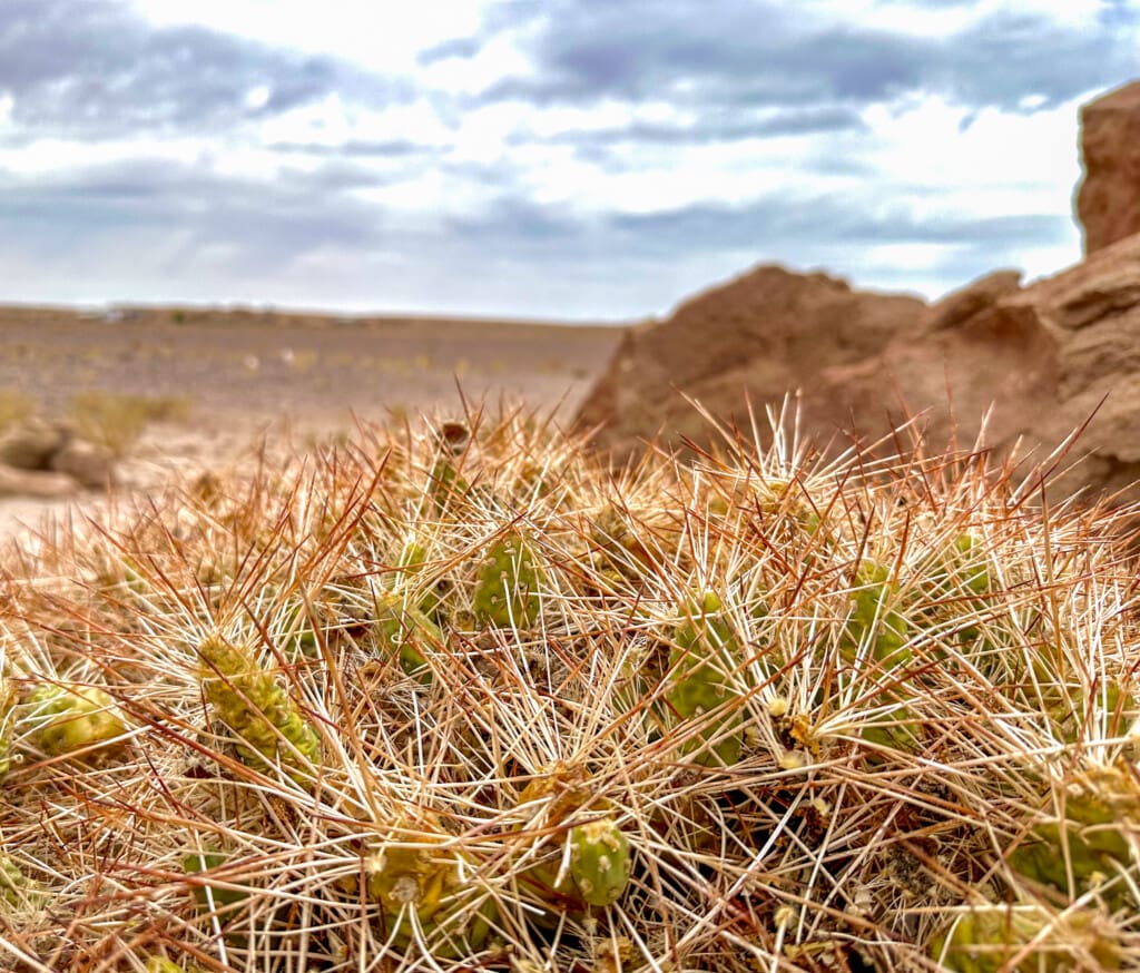 Yerbas Buenas – petroglify na pustyni Atacama