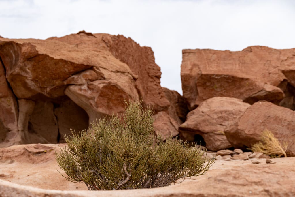 Yerbas Buenas – petroglify na pustyni Atacama