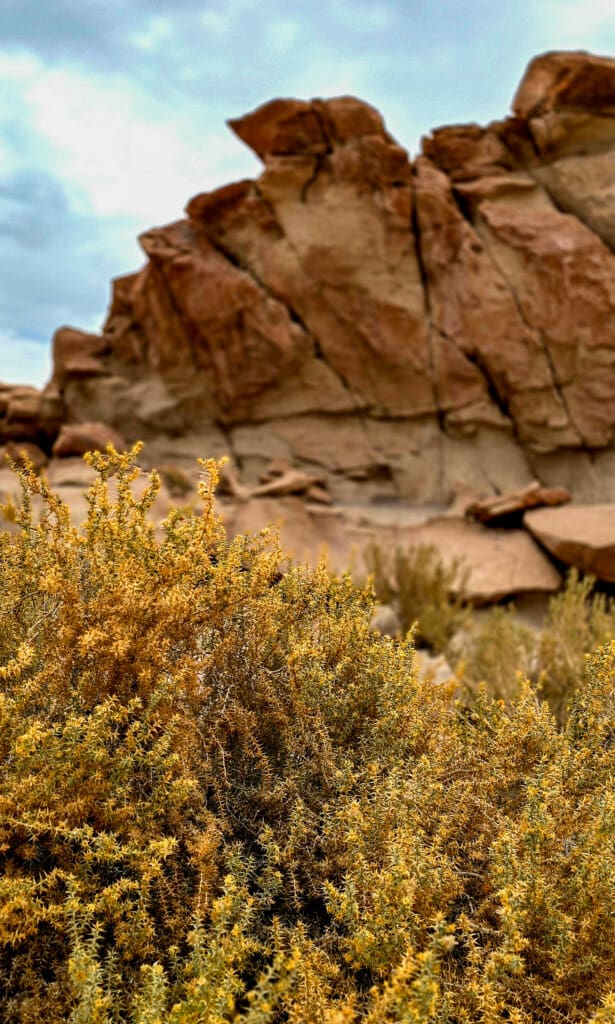 Yerbas Buenas – petroglify na pustyni Atacama