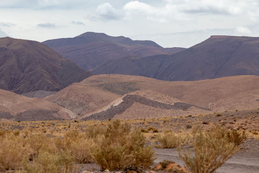 Yerbas Buenas – petroglify na pustyni Atacama