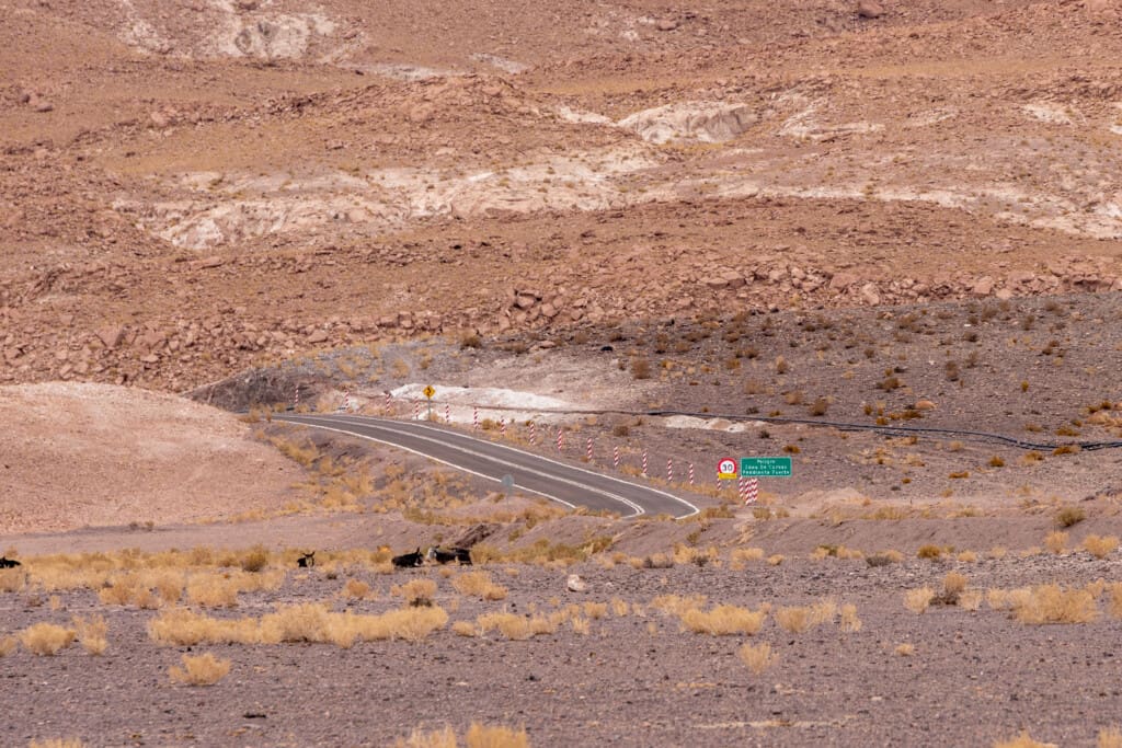 Yerbas Buenas – petroglify na pustyni Atacama
