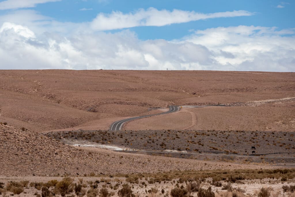 Yerbas Buenas – petroglify na pustyni Atacama