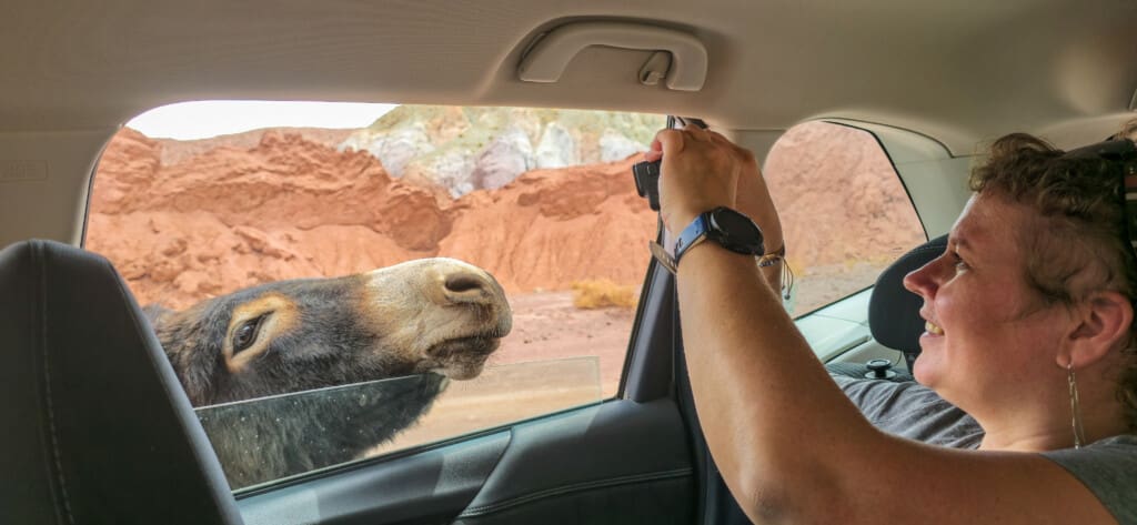 Valle del Arcoiris – Kolorowa Dolina w Atacamie