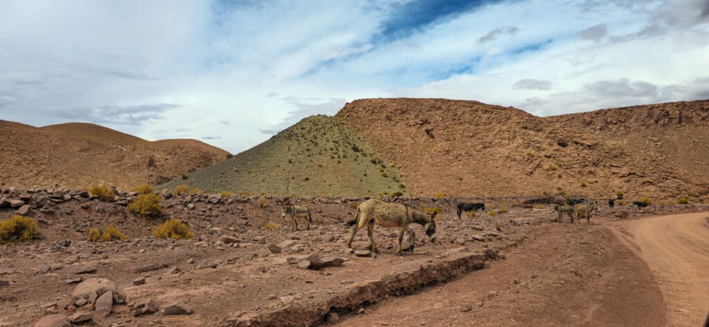 Valle del Arcoiris – Kolorowa Dolina w Atacamie
