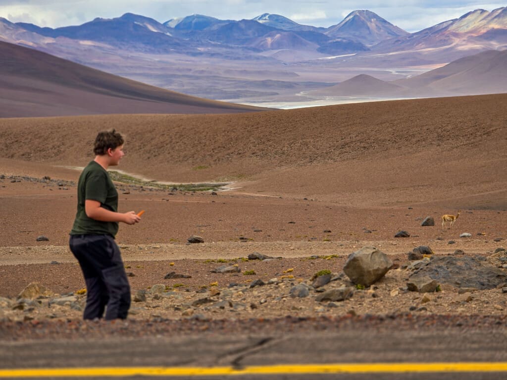 - Salar de Tara