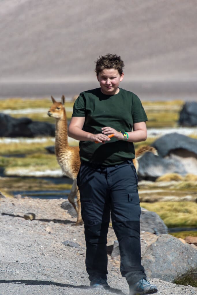 - Salar de Tara