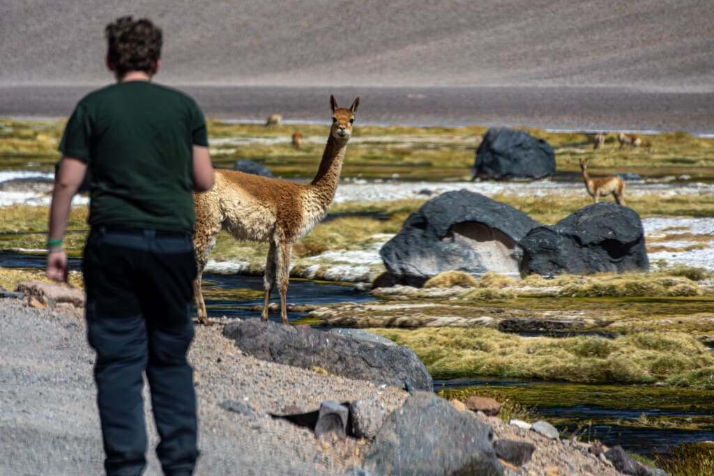 - Salar de Tara