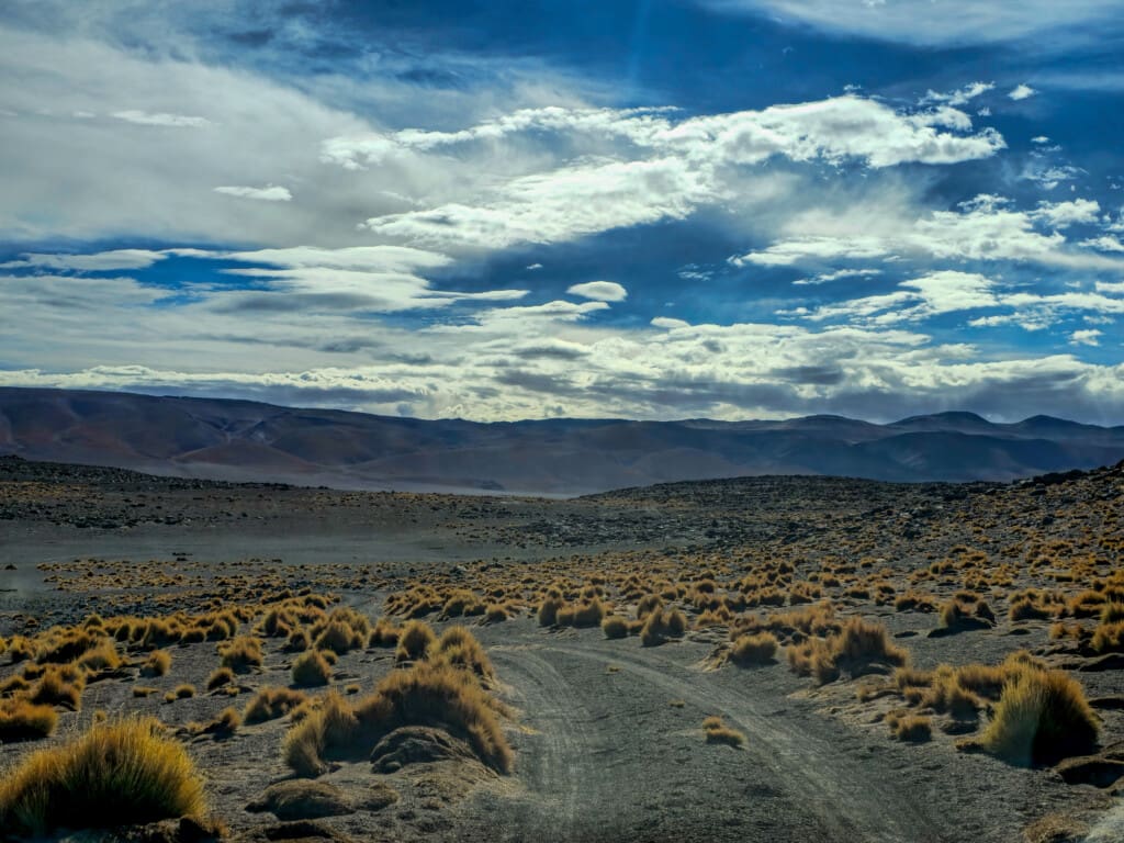- Salar de Tara