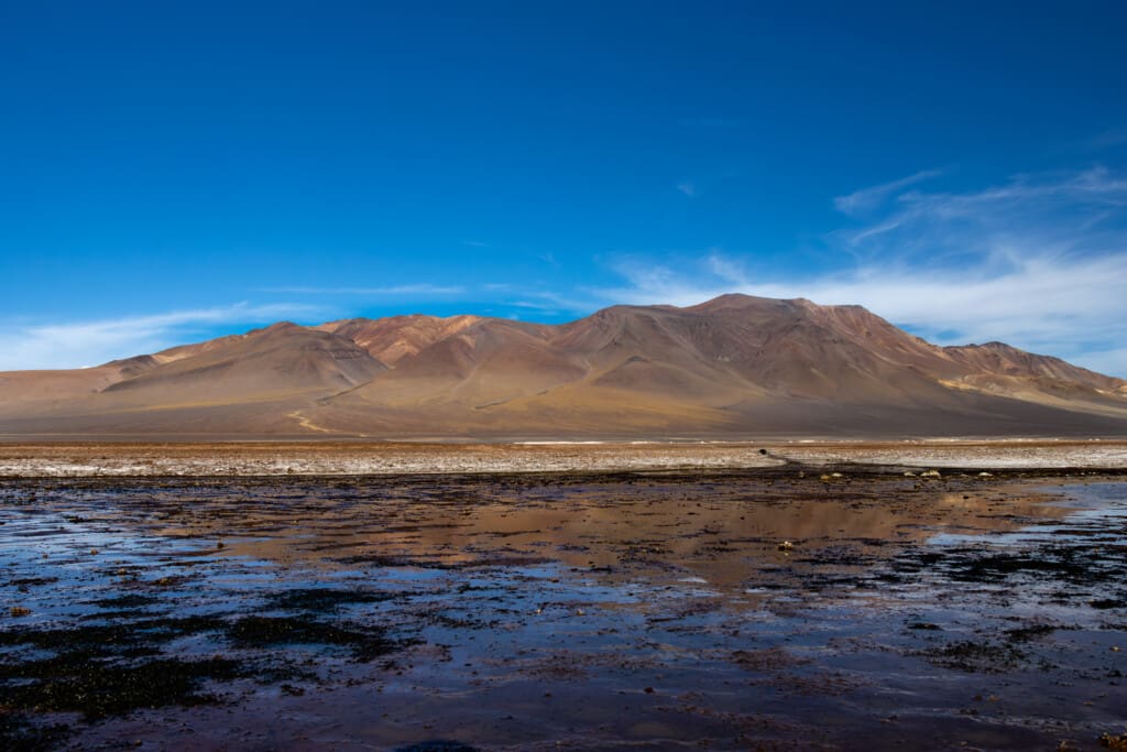 - Salar de Tara