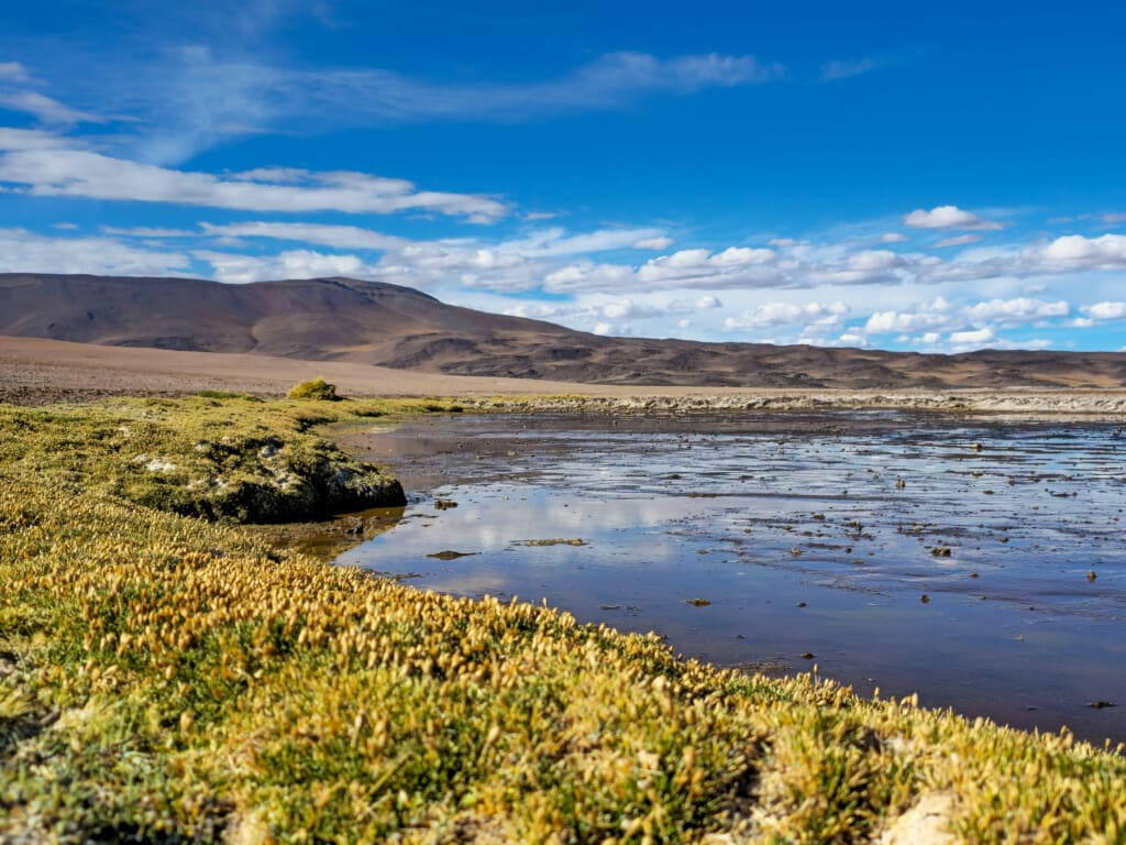 - Salar de Tara