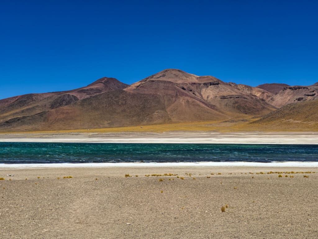 Lagunas Miscanti i Miñiques – surowe piękno Chile