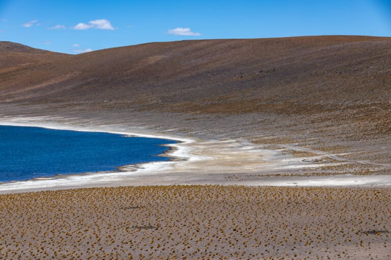 Lagunas Miscanti i Miñiques – surowe piękno Chile[Chile 2025]