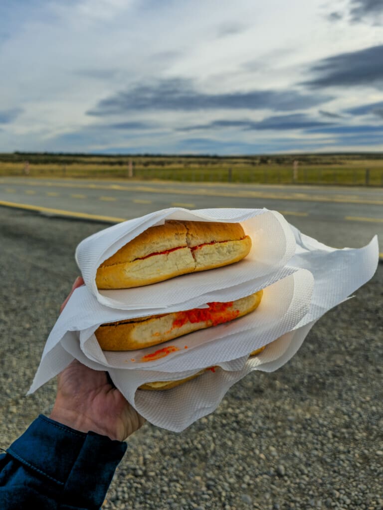 Droga do Puerto Natales – wiatr, strusie i Patagoński klimat
