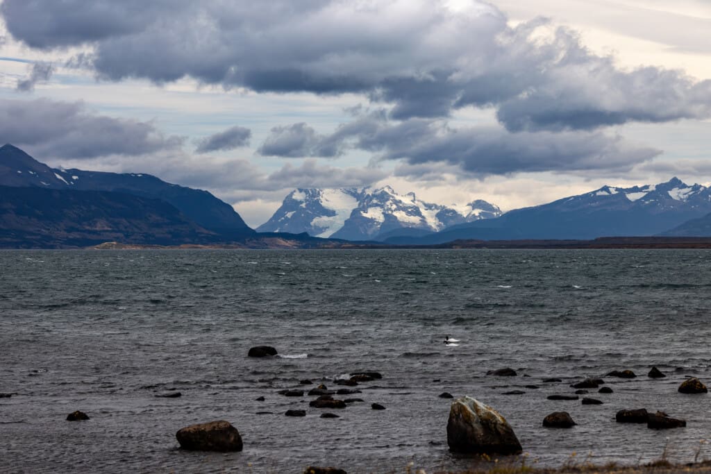 Droga do Puerto Natales – wiatr, strusie i Patagoński klimat