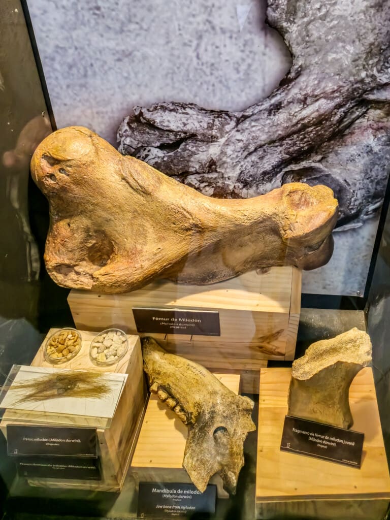 Jaskinia Mylodona gigantyczny prehistoryczny leniwiec
