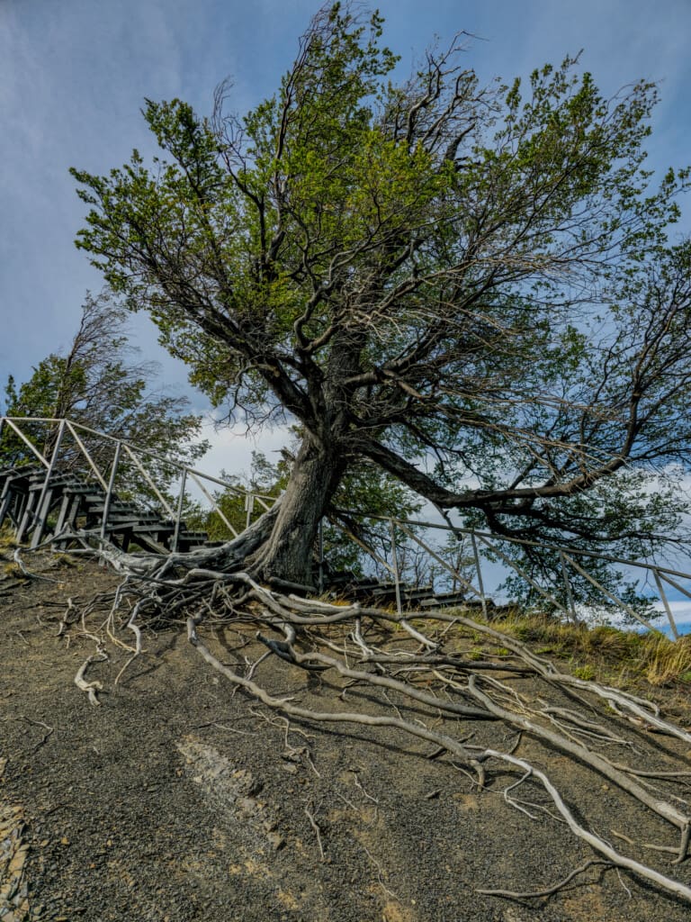 Torres del Paine – wodospad Salto Chico
