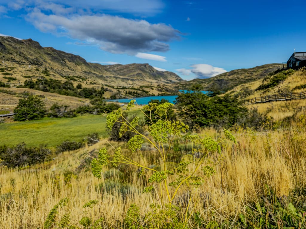 Torres del Paine – wodospad Salto Chico