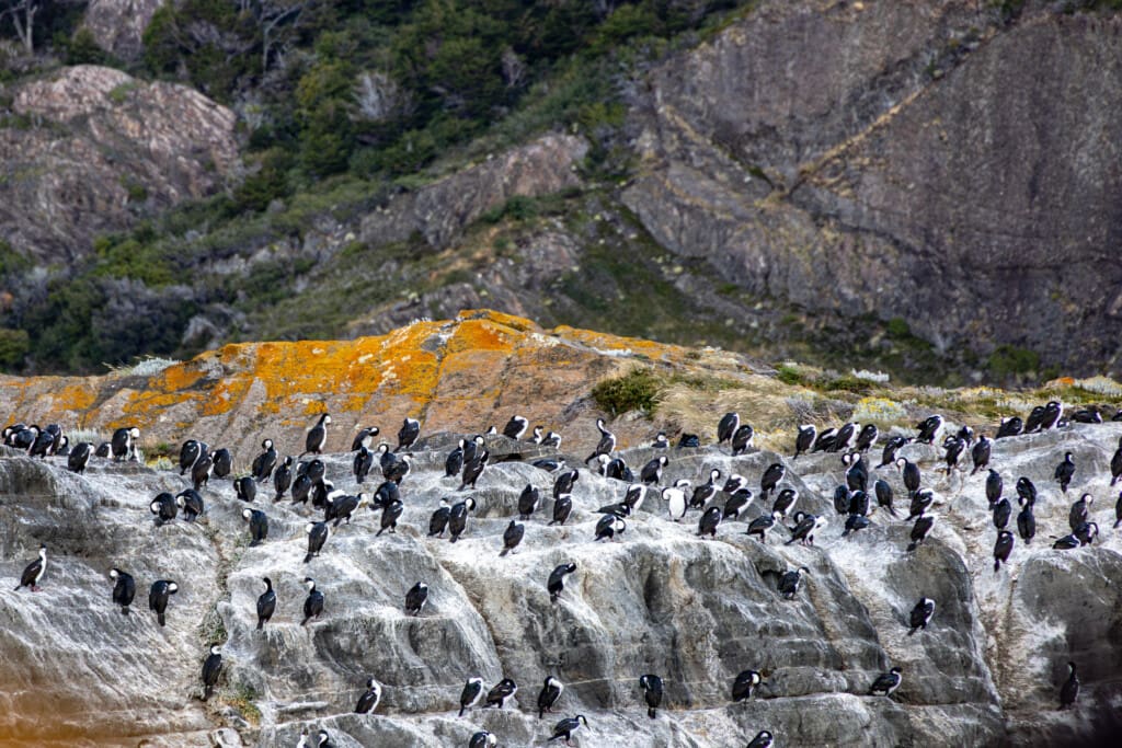 Rejs po Torres del Paine – lodowiec, trekking