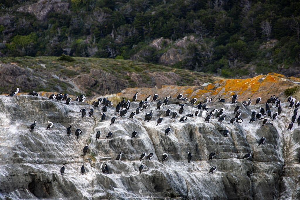 Rejs po Torres del Paine – lodowiec, trekking