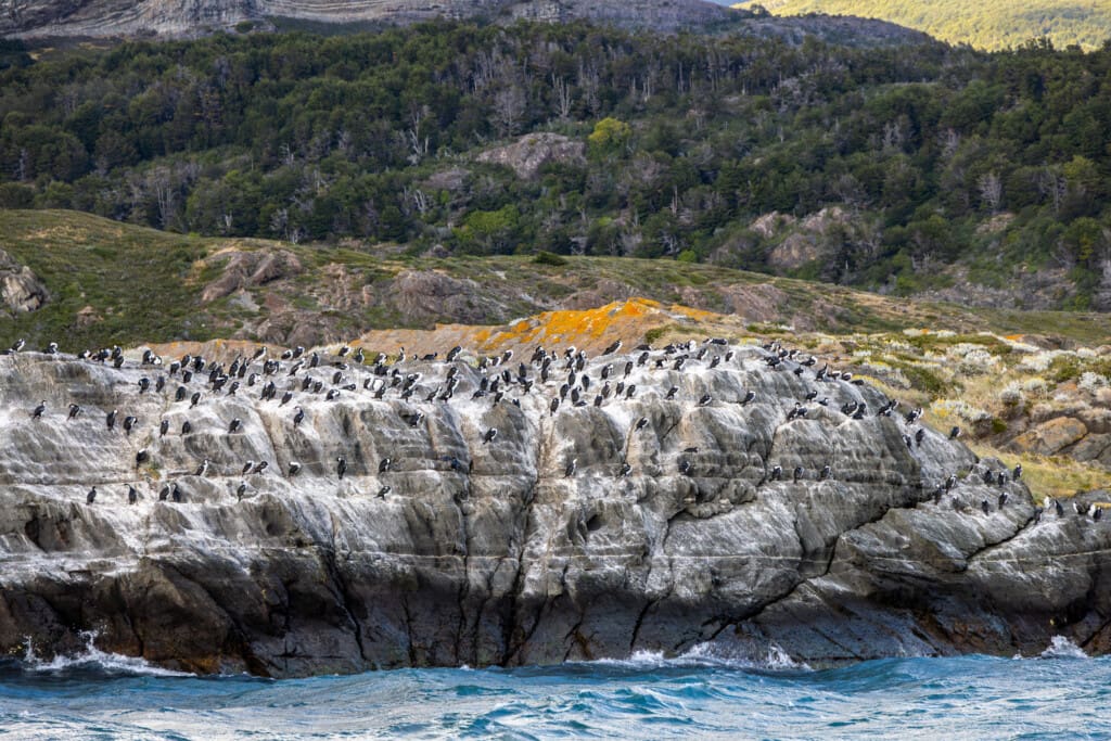 Rejs po Torres del Paine – lodowiec, trekking
