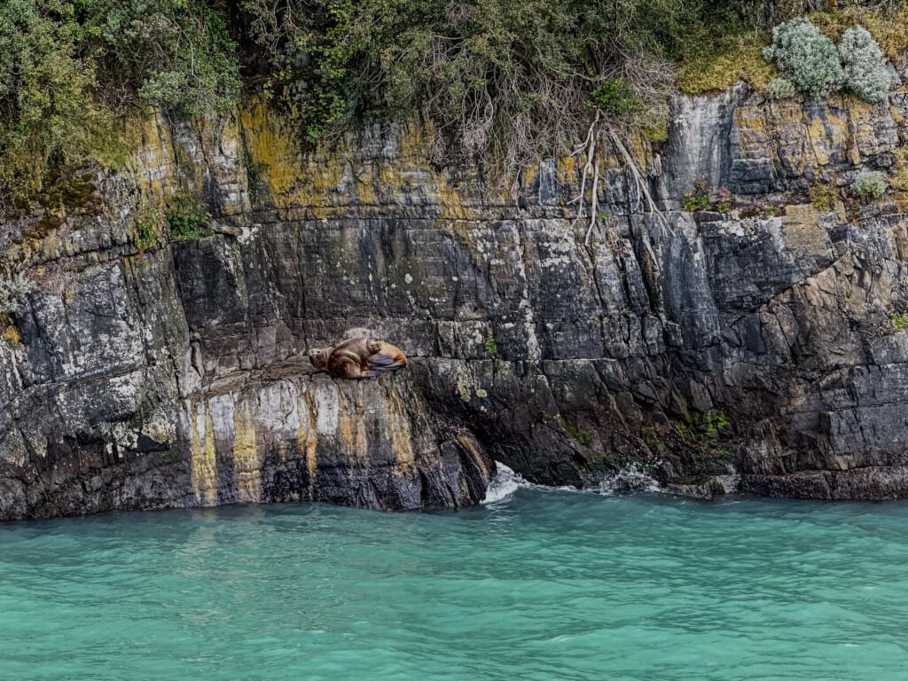 Rejs po Torres del Paine – lodowiec, trekking