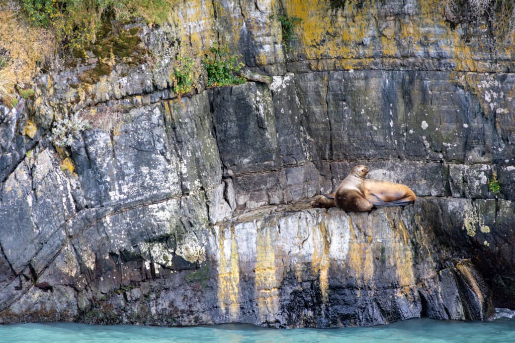 Rejs po Torres del Paine – lodowiec, trekking