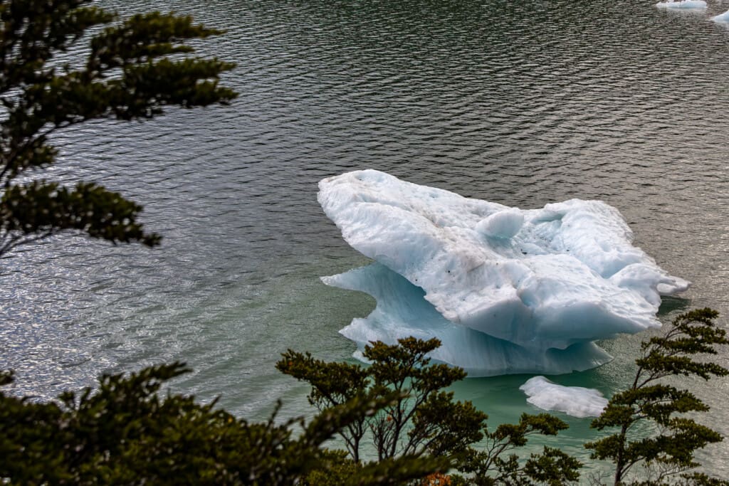 Rejs po Torres del Paine – lodowiec, trekking