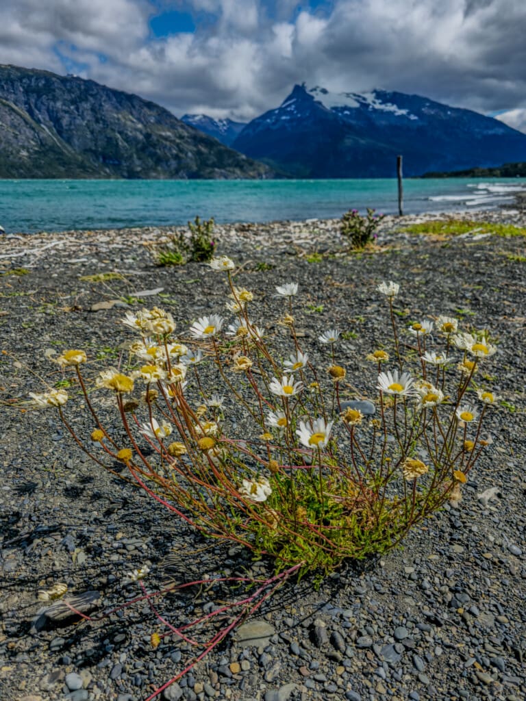 Rejs po Torres del Paine – lodowiec, trekking