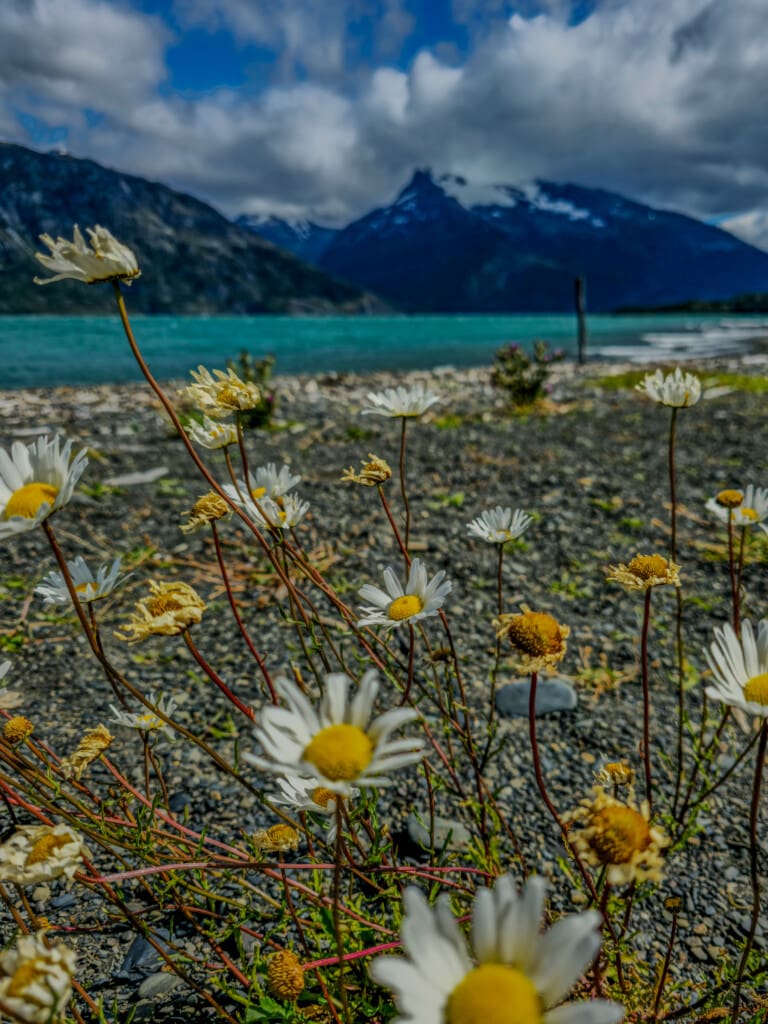 Rejs po Torres del Paine – lodowiec, trekking