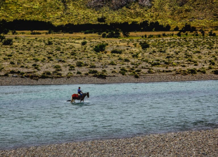 El Chaltén: bezczelny lis, kondory i płonące niebo [Chile 2025]